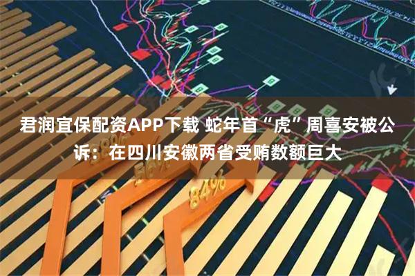 君润宜保配资APP下载 蛇年首“虎”周喜安被公诉:在四川安徽两省受贿数额巨大